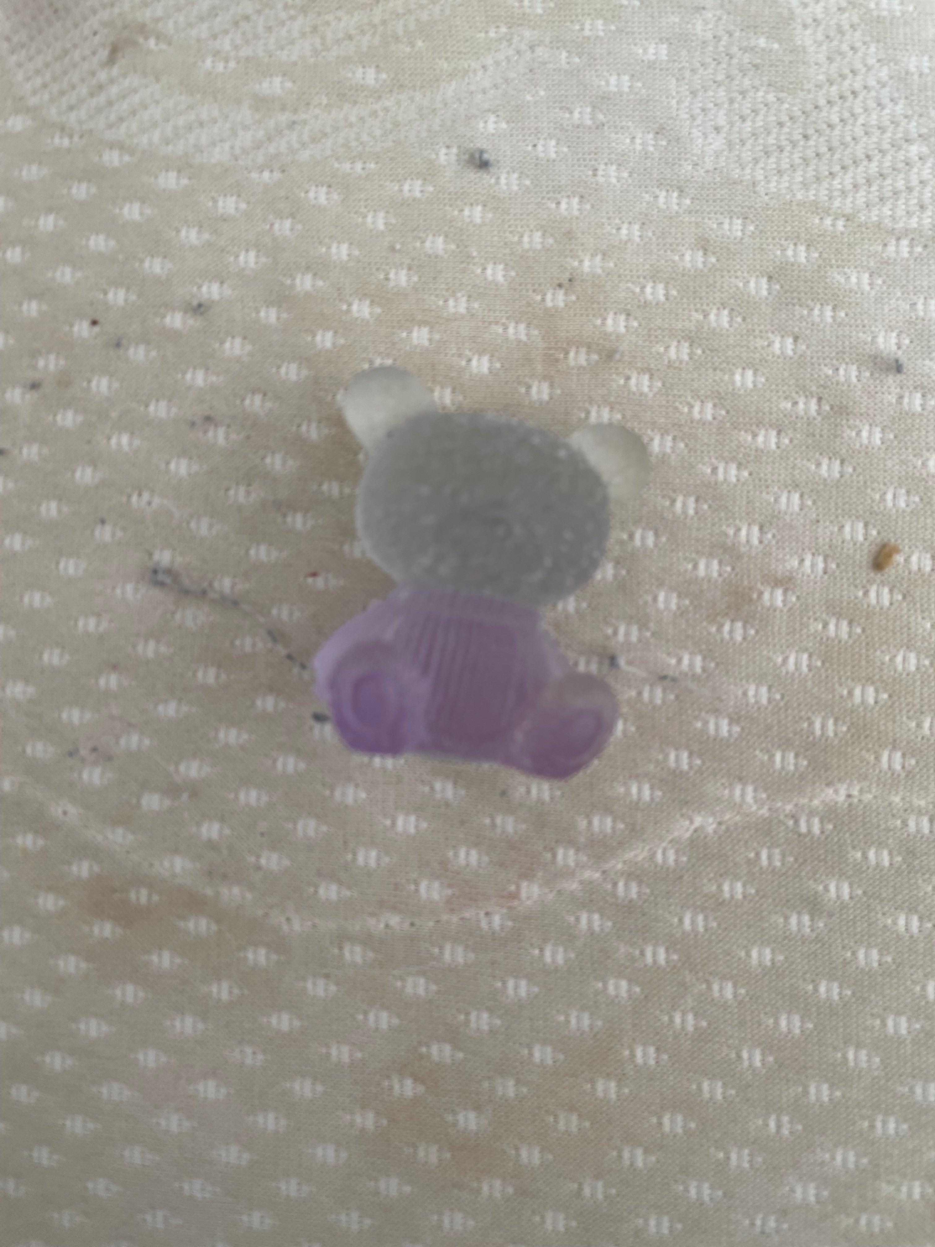 Tres grand ours violet transparent